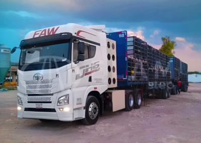 Tractocamión FAW con caja jaula para transporte de ganado